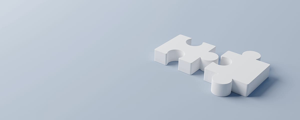 Michelli acquisition and partnership background