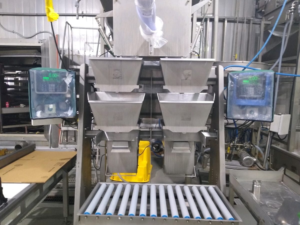 IQF catfish packaging weighing system on a production line