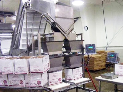 Sytem Development Box Filling