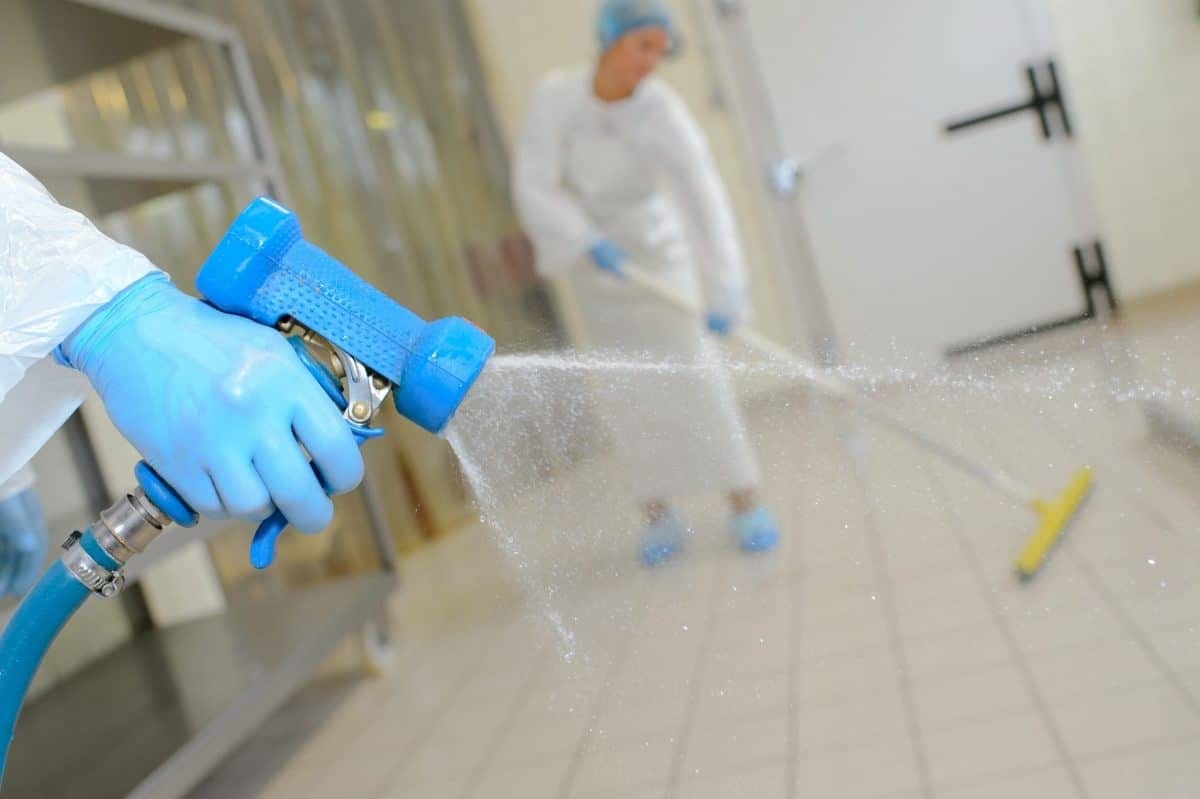 Washdown Scale Procedure in Progress