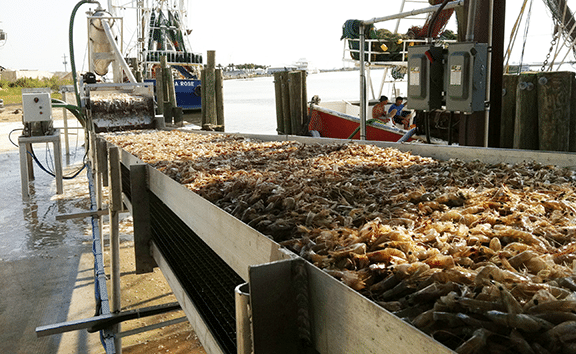 Dockmate bulk weigher in use on dock e1642628816674