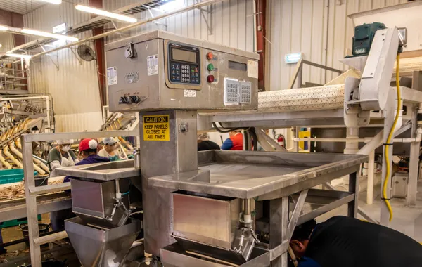 Workers operating machinery on an industrial seafood processing line with control panels and conveyor systems