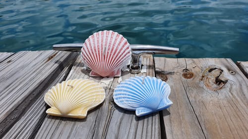 Pink, yellow, and blue seashell candles on a wooden dock