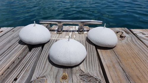 Sea urchin shell candles on a wooden dock