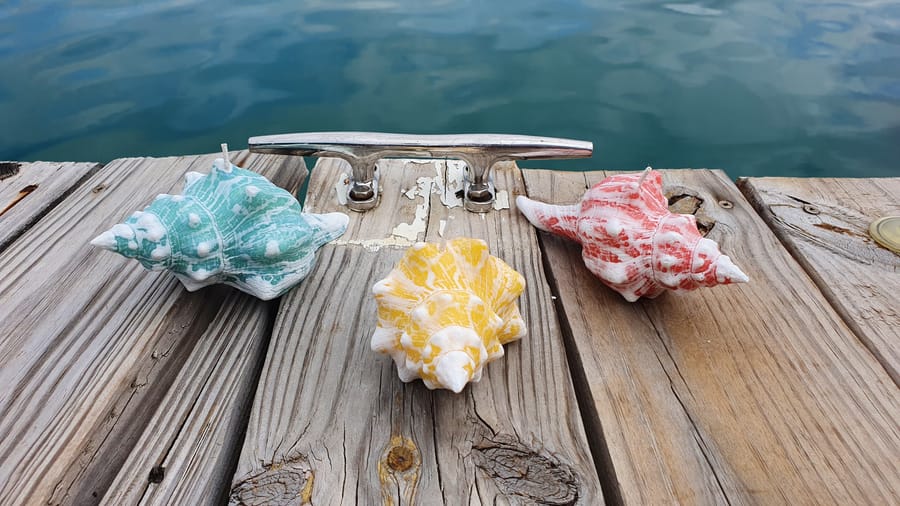 Colorful conch-shaped candles on a wooden dock by the water