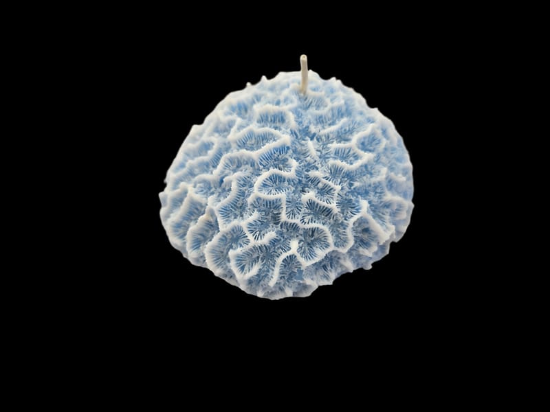 Intricate blue coral sculptural candle by Candle Hut Barbados