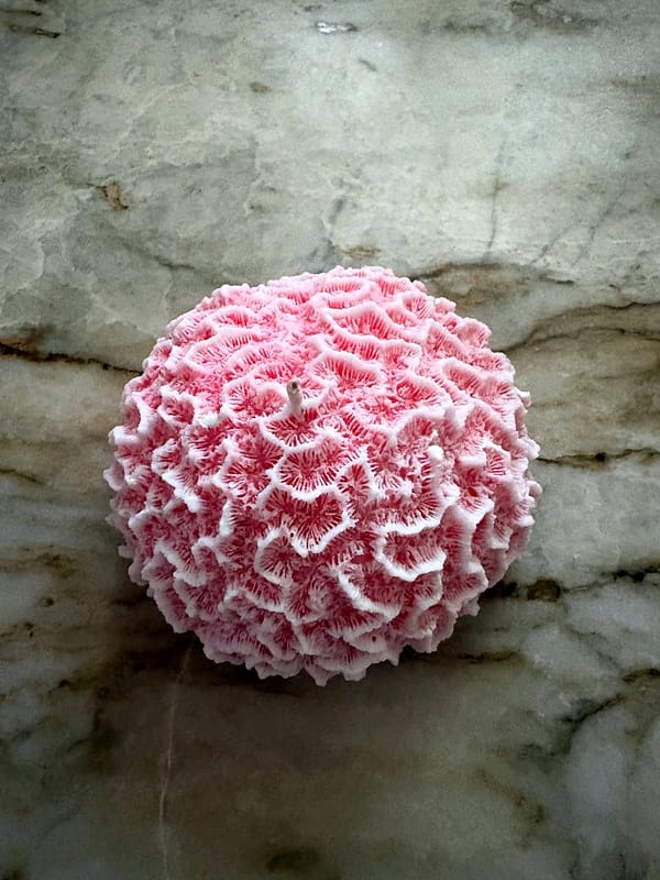 Brain Coral sculptural candle on marble