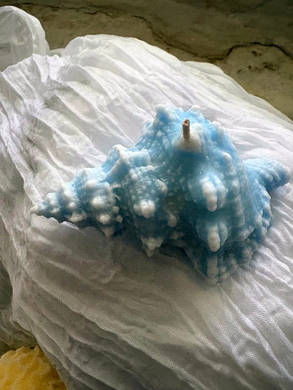 Close-up of a blue-and-white spiny seashell candle displayed on flowing white fabric.