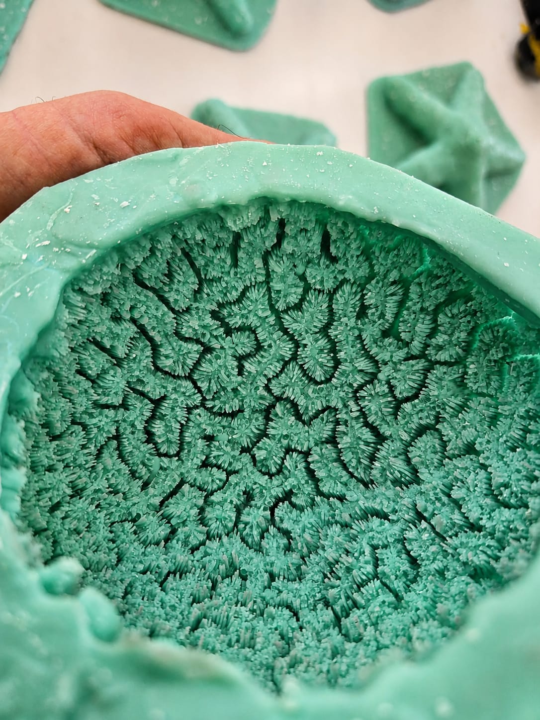 Close-up of a hand opening a green silicone Brain Coral candle mold to reveal its intricate interior texture.