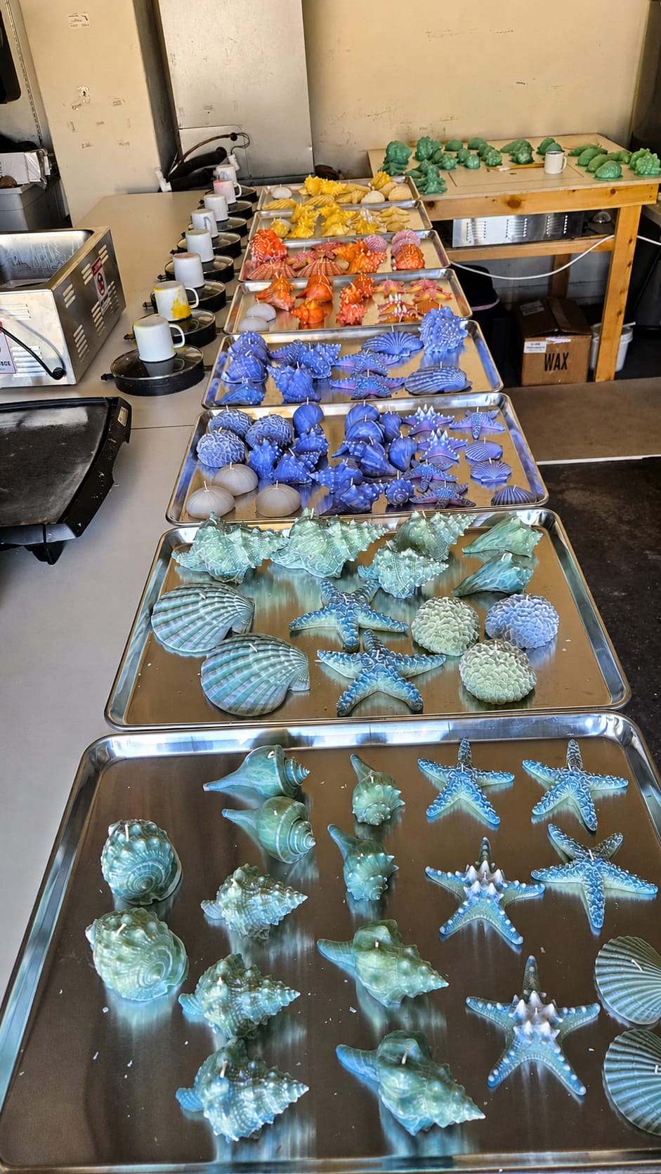 Rows of handmade shell, starfish, coral, and sea-urchin candles arranged on trays throughout the workshop.