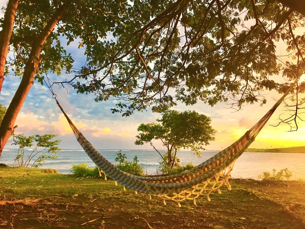 Hammock at Petit Point Bungalow