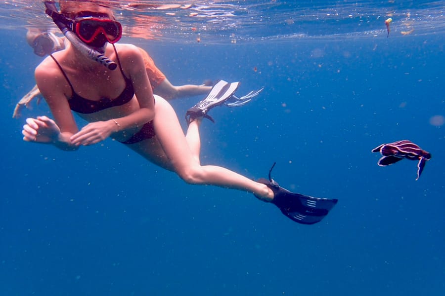 Snorkeling with a sea turtle in the clear Caribbean waters of Tobago