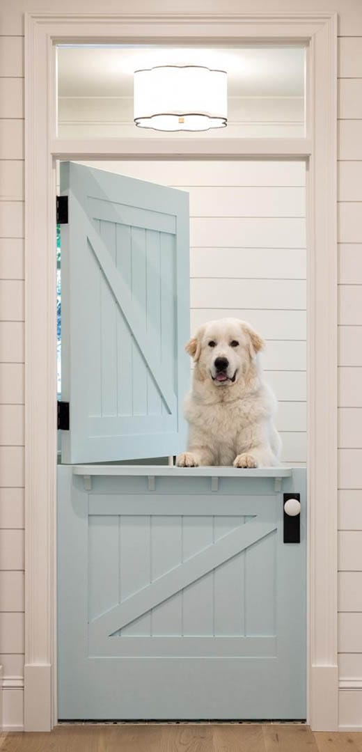TruStile interior door portrait