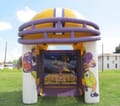 LSU Football Throw