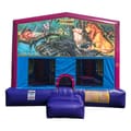 Lion King Bouncer