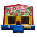 Strawberry Shortcake Bouncer