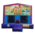 Winnie the Pooh Bouncer