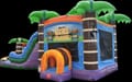Tiki Plunge Water Combo with Double Waterslide