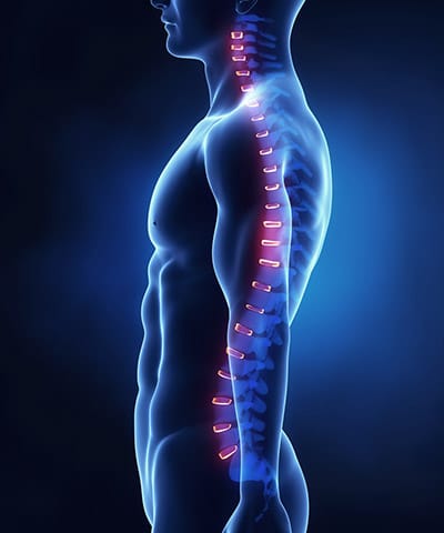 Bone densitometry scan